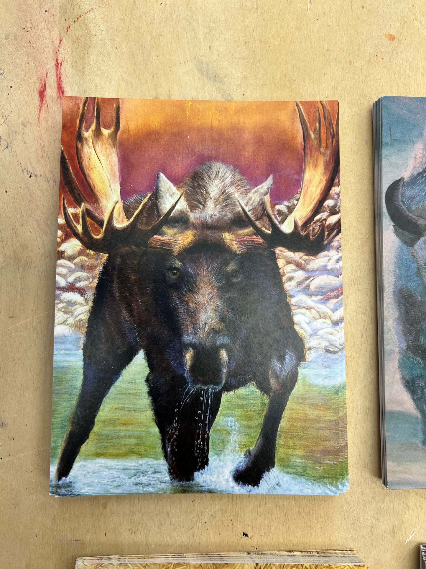 Post Card - single card